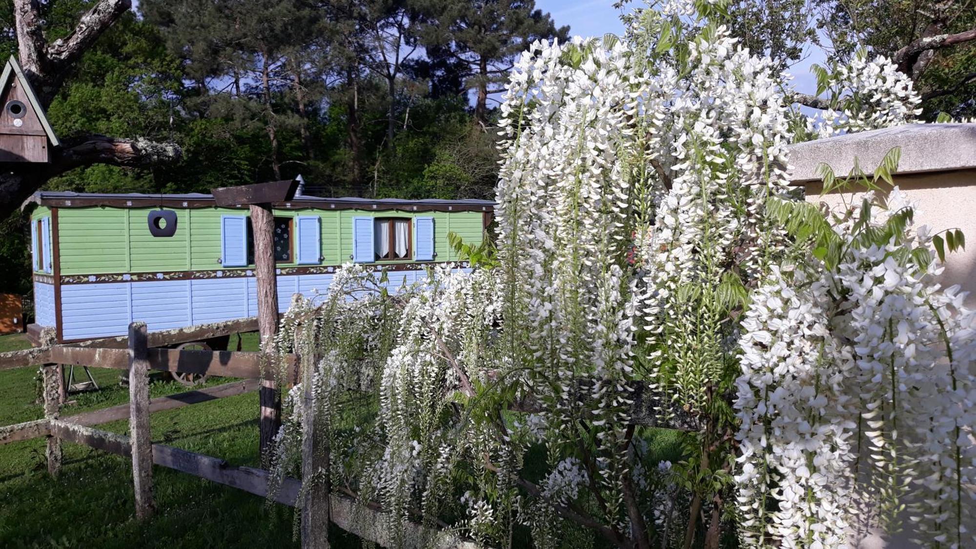 Roulotte Fleur Des Champs Vila Sigalens Exterior foto